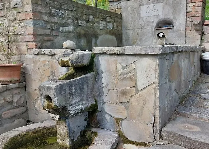 Poponi مزرعة للإقامة